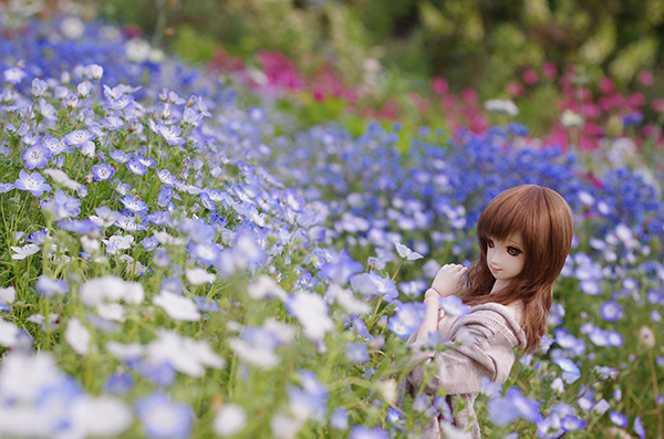 春花に抱かれて。