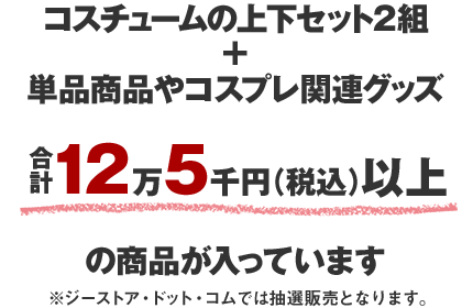 コスチュームの上下セット2組+単品商品やコスプレ関連グッズ合計12万5千円（税込）以上の商品が入っています。※ジーストア・ドット・コムでは抽選販売となります。