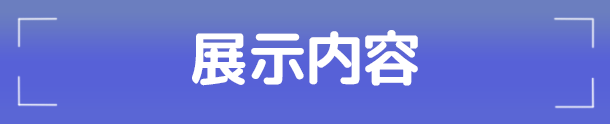 展示内容