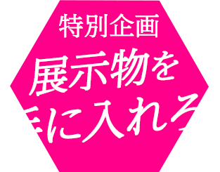 特別企画 展示物を手に入れろ